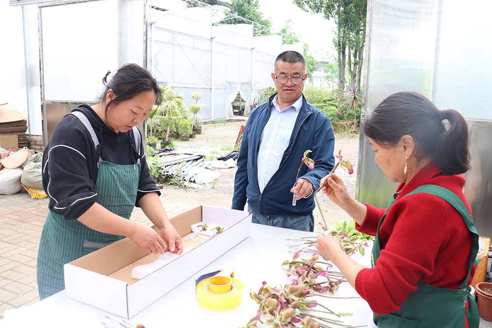 邓克云：三十年山野守望 让“植物熊猫”走向世界(图2)