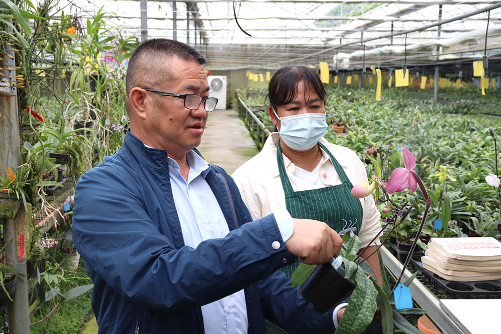 邓克云：三十年山野守望 让“植物熊猫”走向世界(图3)