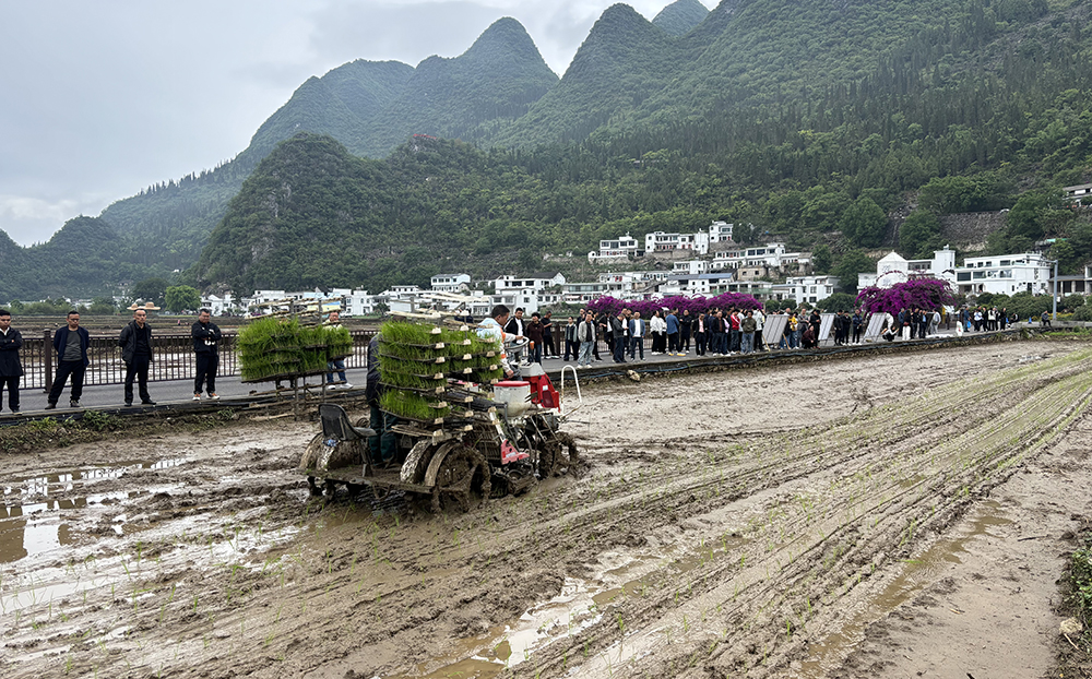 2026年贵州省春耕生产科学施肥技术培训会在兴义举行(图2)