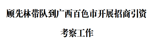 顾先林带队到广西百色市开展招商引资考察工作(图1)
