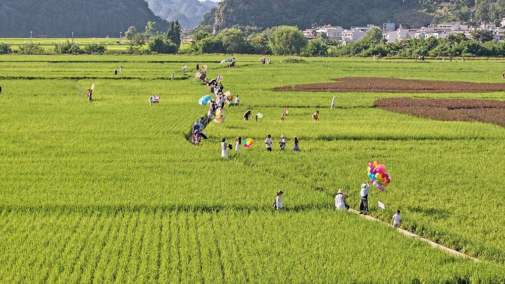万峰林：绿水青山间的“两山”答卷(图3)
