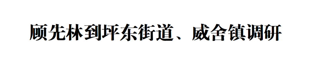 640 顾先林到坪东街道、威舍镇调研(图1)