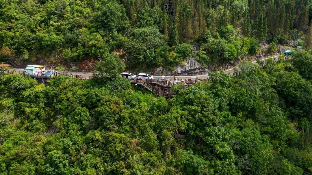 20261003_165538_000 国庆假期 贵州兴义万峰林旅游持续升温(图1)